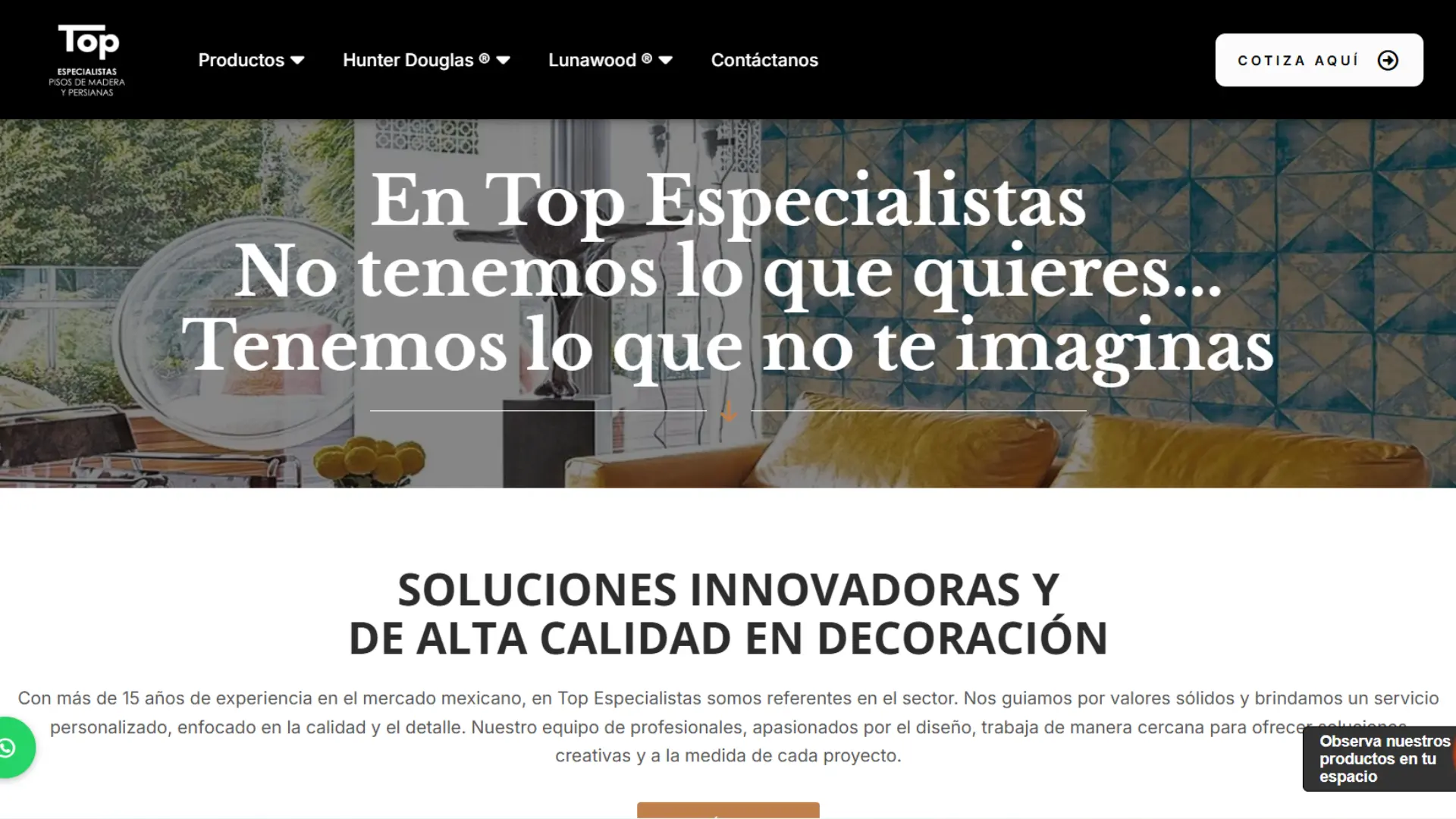 Top especialistas